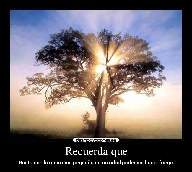 Recuerda que - Hasta con la rama mas pequeña de un árbol podemos hacer fuego.