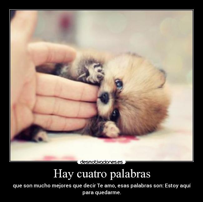 Hay cuatro palabras - que son mucho mejores que decir Te amo, esas palabras son: Estoy aquí
para quedarme.