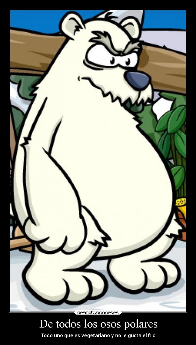 De todos los osos polares - Toco uno que es vegetariano y no le gusta el frio