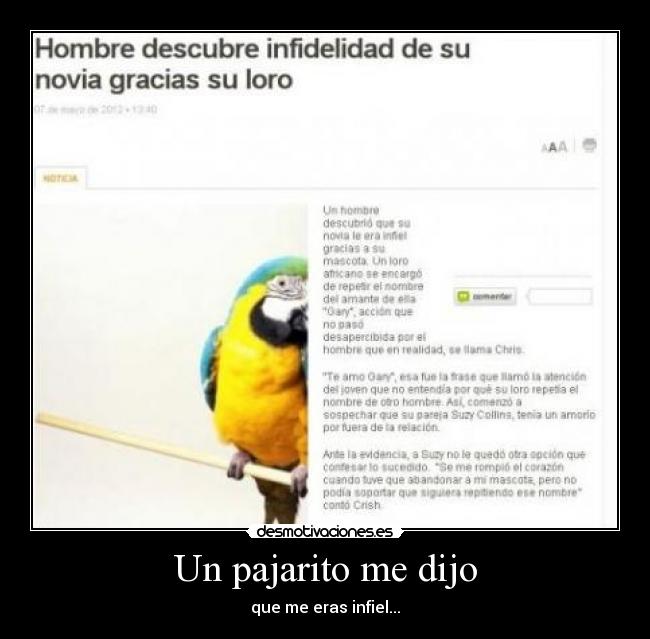 Un pajarito me dijo -