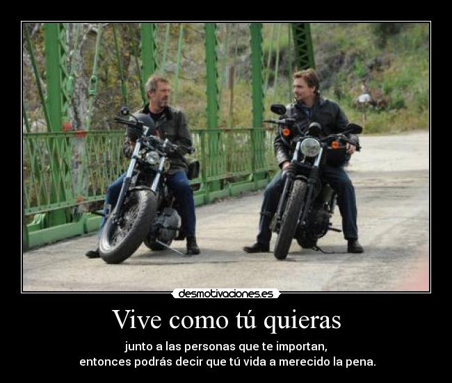 carteles house wilson ultimo capitulo desmotivaciones