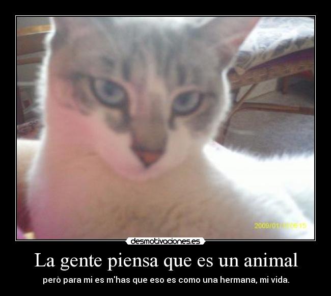 La gente piensa que es un animal -