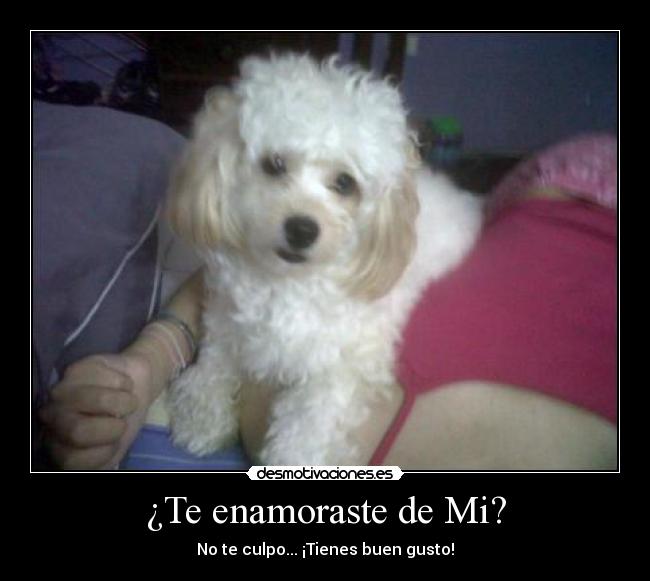 Usuario MayaraKG Desmotivaciones Usuario MayaraKG Desmotivaciones