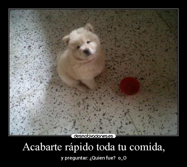 Acabarte rápido toda tu comida, - y preguntar: ¿Quien fue?  o_O