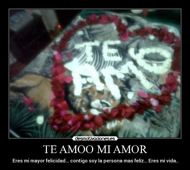 TE AMOO MI AMOR - Eres mi mayor felicidad... contigo soy la persona mas felíz... Eres mi vida..