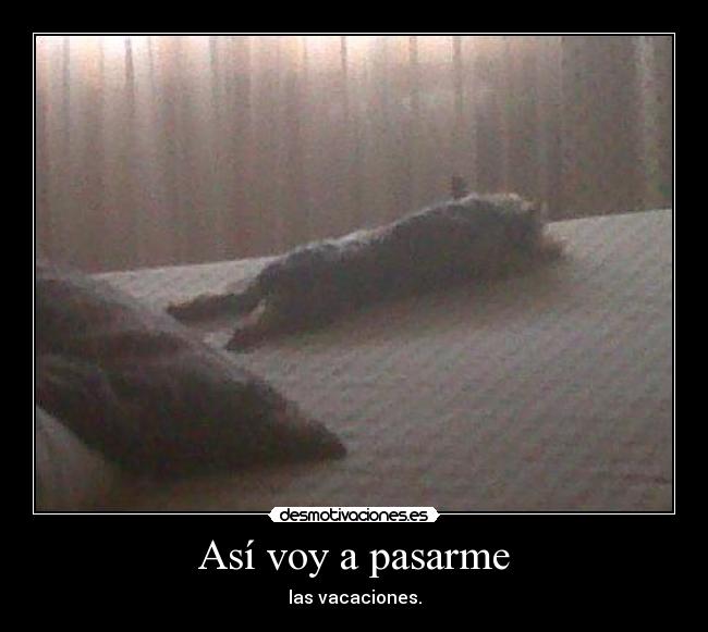 Así voy a pasarme - las vacaciones.