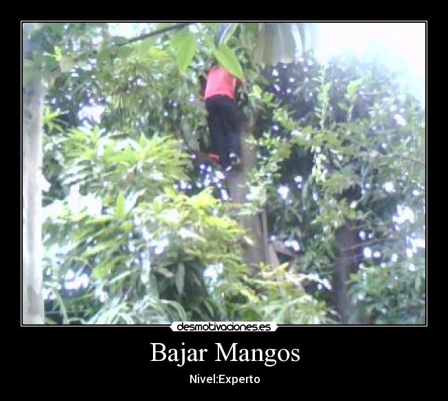 carteles alezepeda desmotivaciones