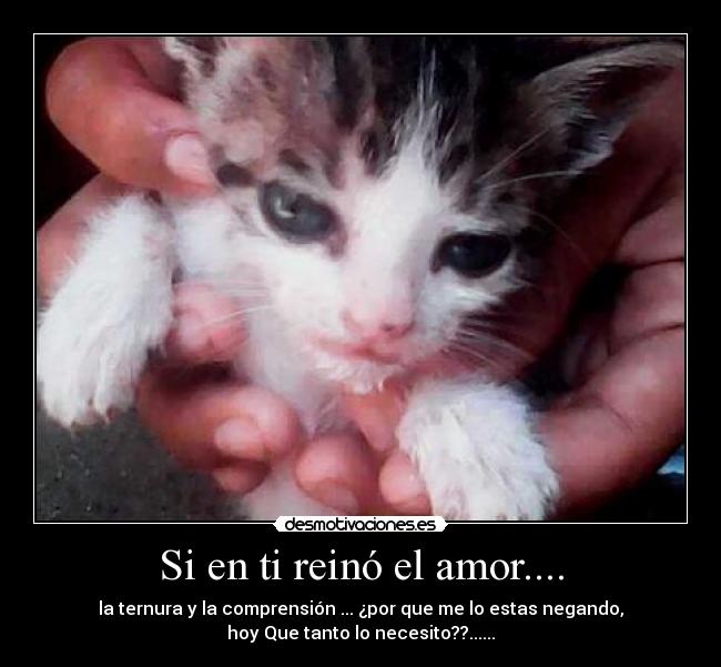 Si en ti reinó el amor.... - la ternura y la comprensión ... ¿por que me lo estas negando,
hoy Que tanto lo necesito??......