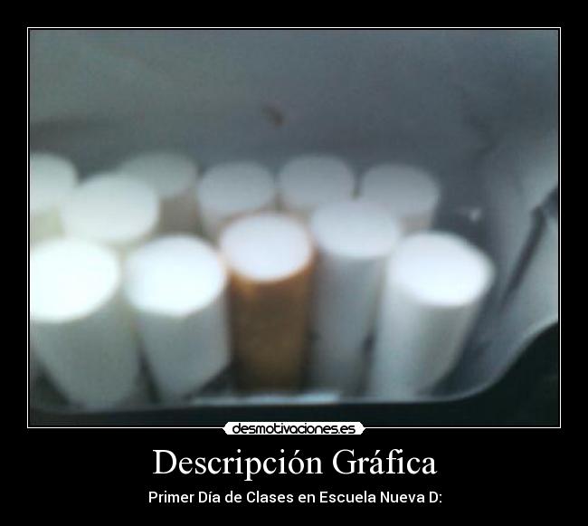 Descripción Gráfica -