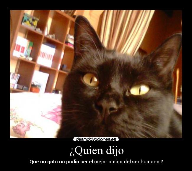 ¿Quien dijo -
