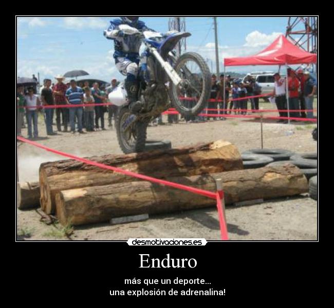 carteles fredy cabrera desmotivaciones