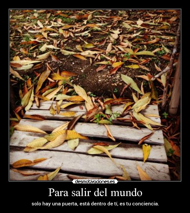 Para salir del mundo - 