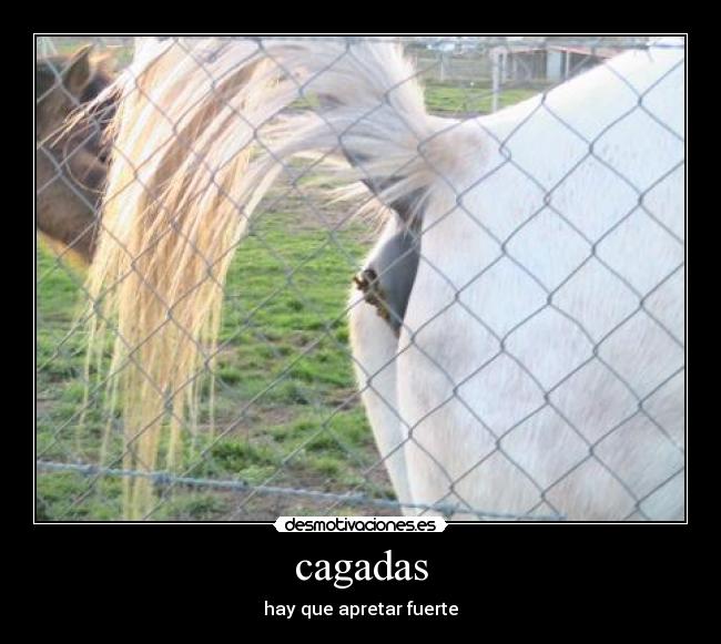 cagadas - hay que apretar fuerte