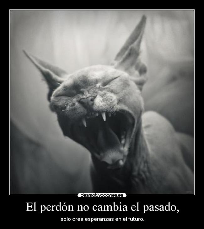 El perdón no cambia el pasado, - 