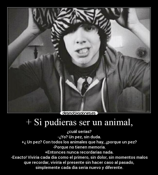 + Si pudieras ser un animal, - ¿cuál serías?
-¿Yo? Un pez, sin duda.
+¿ Un pez? Con todos los animales que hay, ¿porque un pez?
-Porque no tienen memoria.
+Entonces nunca recordarias nada.
-Exacto! Viviria cada dia como el primero, sin dolor, sin momentos malos
 que recordar, viviría el presente sin hacer caso al pasado, 
simplemente cada dia seria nuevo y diferente.