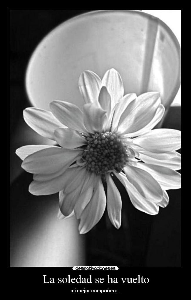 carteles soledad todo pasa por algo desmotivaciones