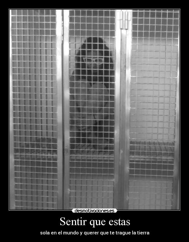 Sentir que estas - 