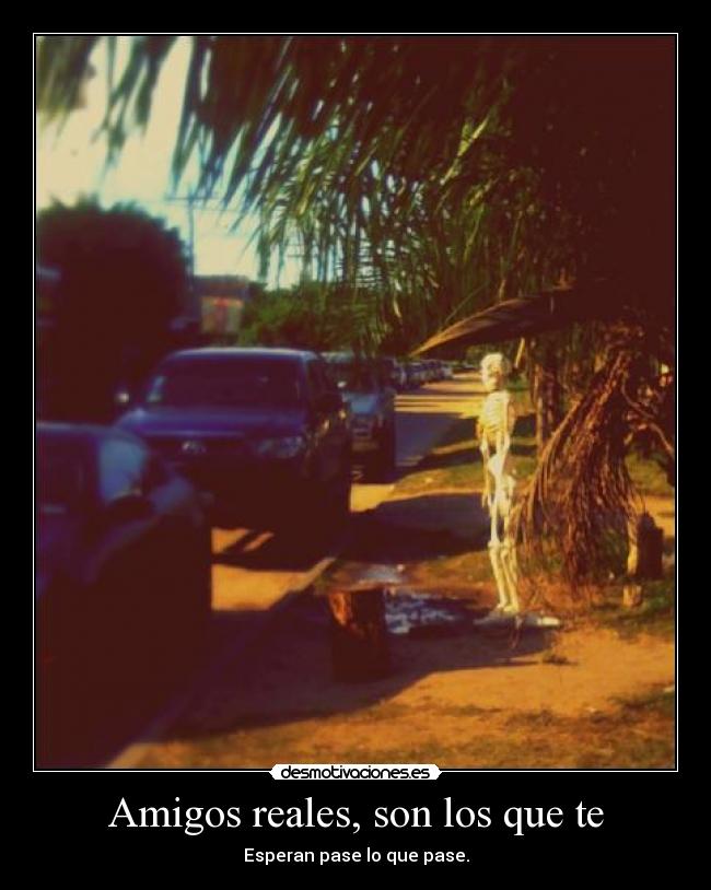 Amigos reales, son los que te - Esperan pase lo que pase.