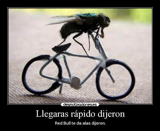 Llegaras rápido dijeron - Red Bull te da alas dijeron.