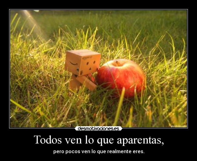 Todos ven lo que aparentas, -