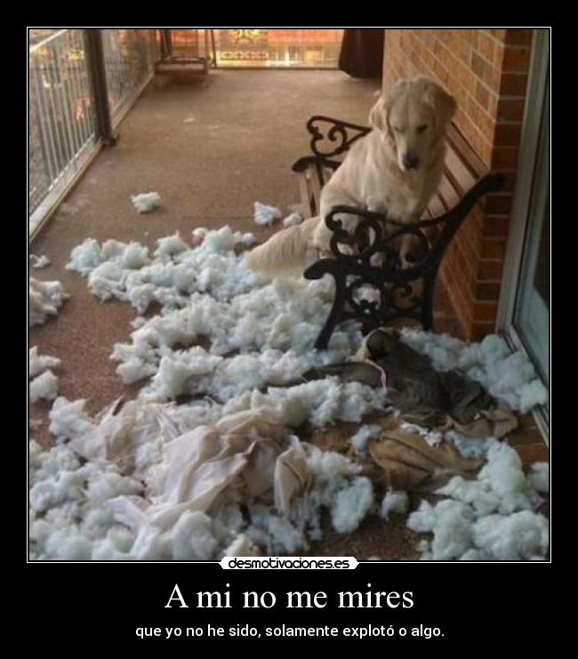 A mi no me mires -