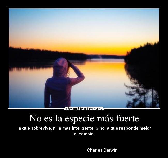 No es la especie más fuerte - la que sobrevive, ni la más inteligente. Sino la que responde mejor el cambio.
 
                                                                                                          Charles Darwin