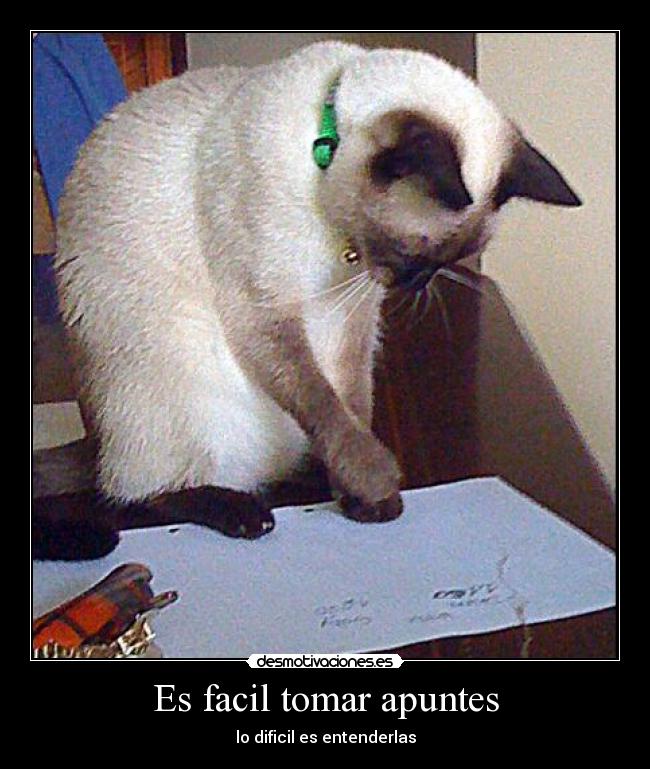 carteles gabidiboog desmotivaciones