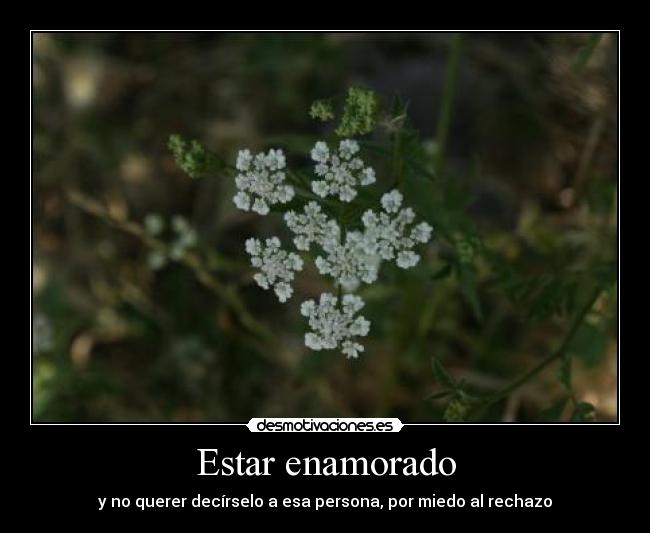 Estar enamorado - y no querer decírselo a esa persona, por miedo al rechazo