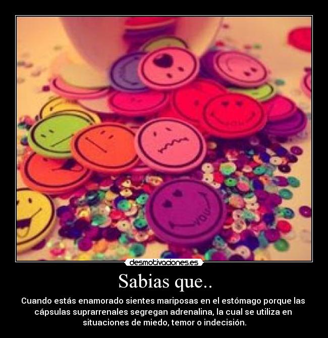 Sabias que.. - Cuando estás enamorado sientes mariposas en el estómago porque las 
cápsulas suprarrenales segregan adrenalina, la cual se utiliza en 
situaciones de miedo, temor o indecisión.