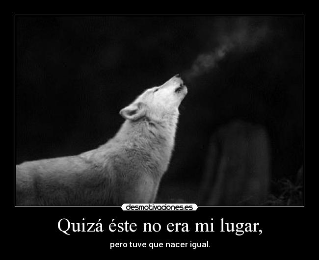 Quizá éste no era mi lugar, -