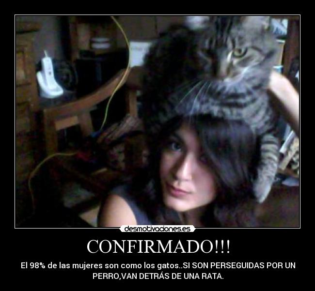 CONFIRMADO!!! - El 98% de las mujeres son como los gatos..SI SON PERSEGUIDAS POR UN
PERRO,VAN DETRÁS DE UNA RATA.