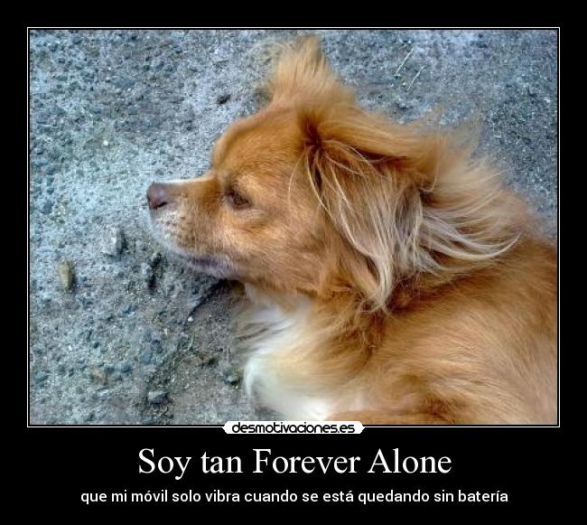 Soy tan Forever Alone - 