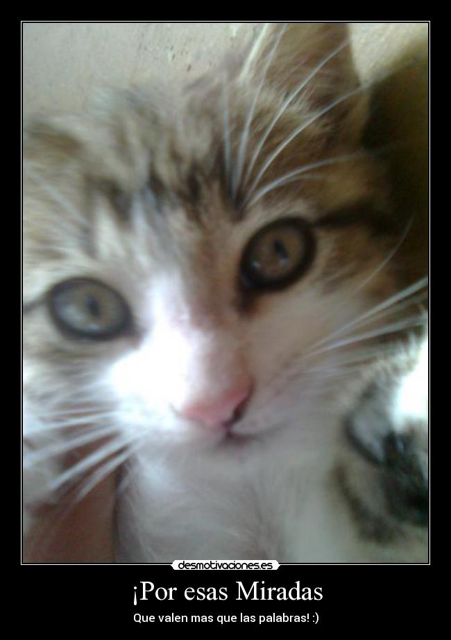 ¡Por esas Miradas - Que valen mas que las palabras! :)