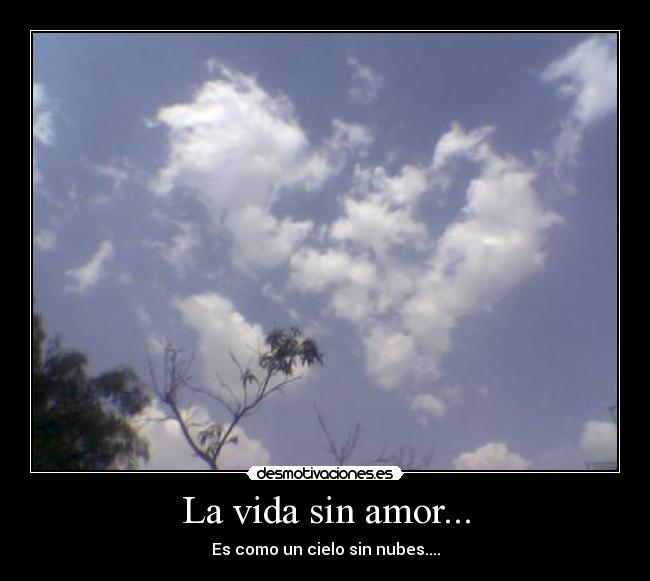 carteles vida amor abriiliita desmotivaciones