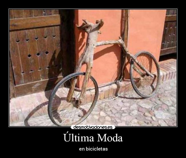 Última Moda -