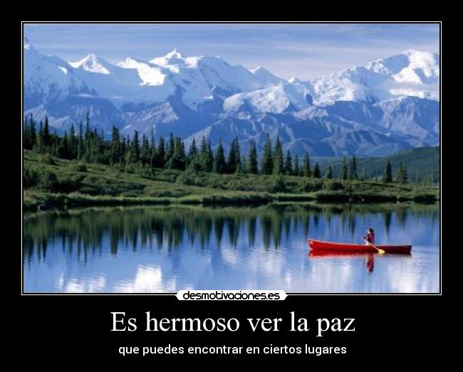 Es hermoso ver la paz -