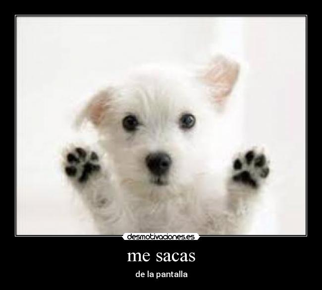 me sacas -
