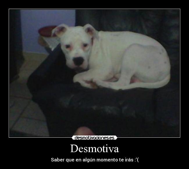 Desmotiva -