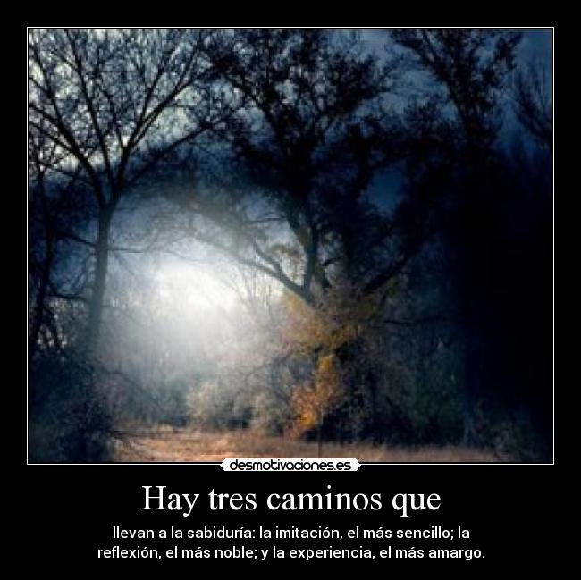 Hay tres caminos que - llevan a la sabiduría: la imitación, el más sencillo; la
reflexión, el más noble; y la experiencia, el más amargo.