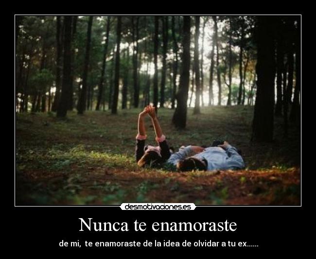 Nunca te enamoraste -