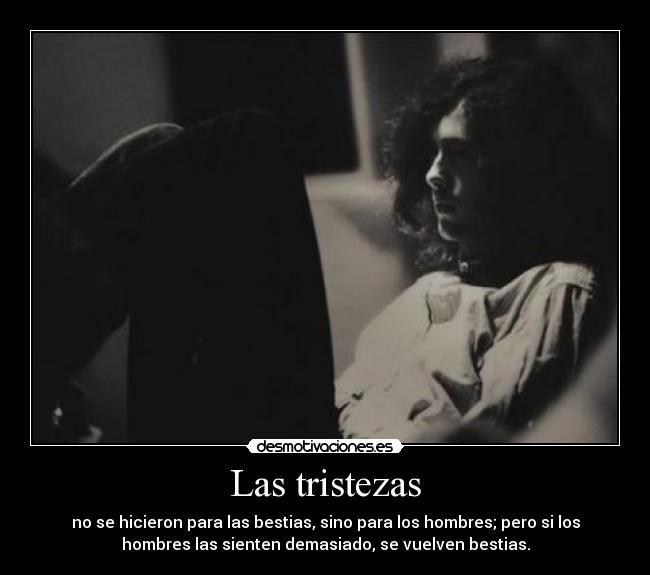 Las tristezas - no se hicieron para las bestias, sino para los hombres; pero si los
hombres las sienten demasiado, se vuelven bestias.
