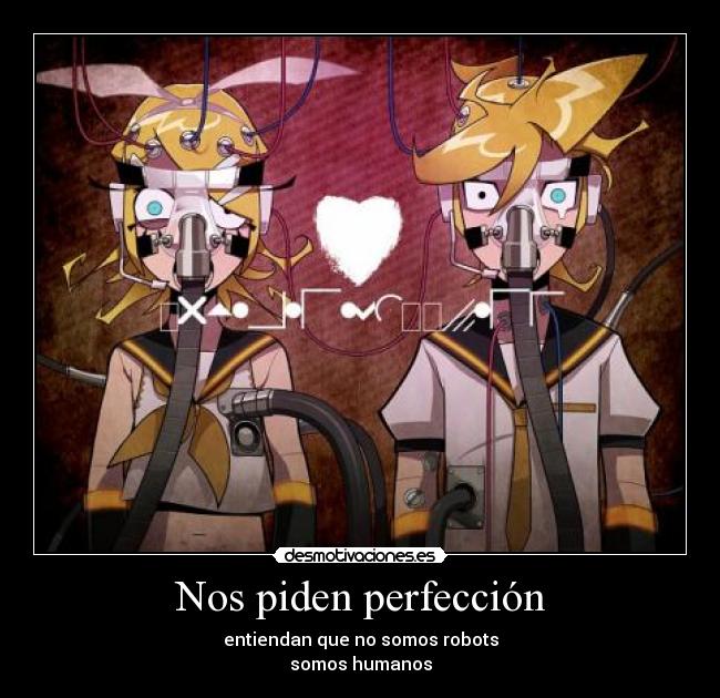 Nos piden perfección -