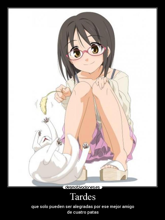 Tardes - que solo pueden ser alegradas por ese mejor amigo
de cuatro patas