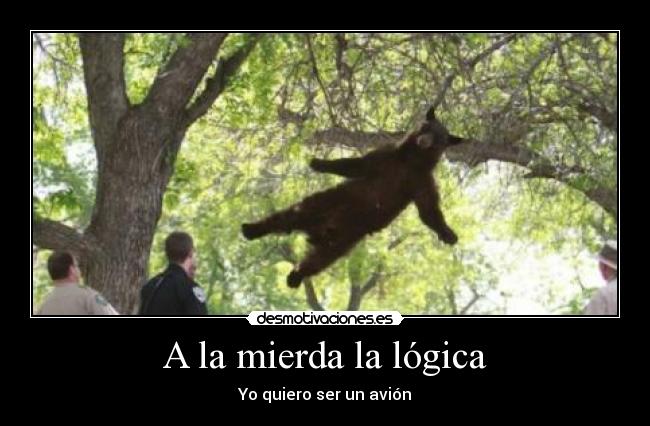 A la mierda la lógica -