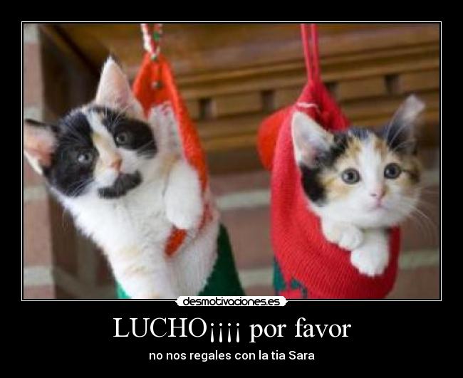 LUCHO¡¡¡¡ por favor - no nos regales con la tia Sara