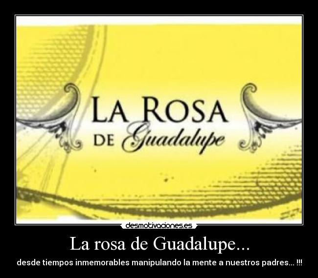 La rosa de Guadalupe... - 
