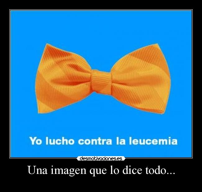 Una imagen que lo dice todo... -