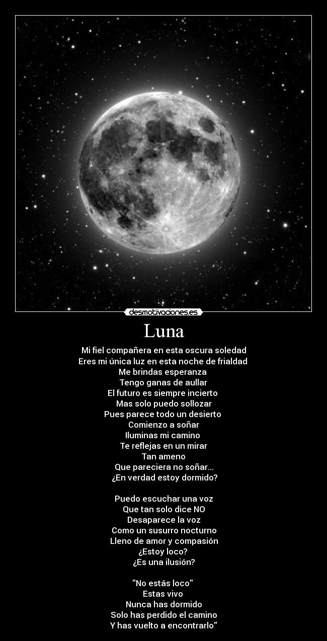 carteles gato intruders crazyclub clanreyleon xddd vale este bueno creo xdd desmotivaciones