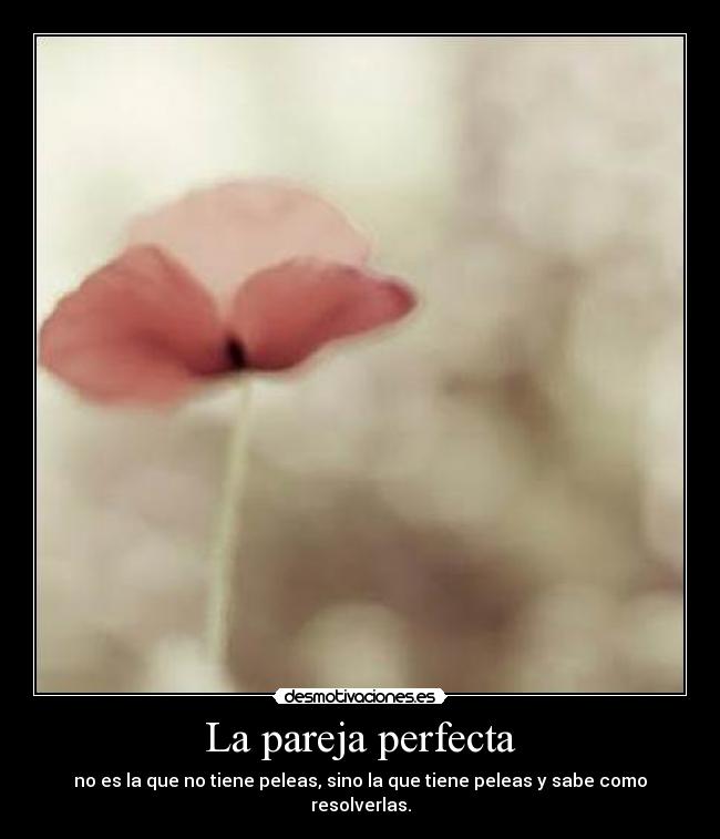 La pareja perfecta -