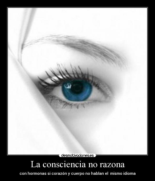 La consciencia no razona - 
